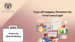 Types of Company Structures by Vera Causa Legal