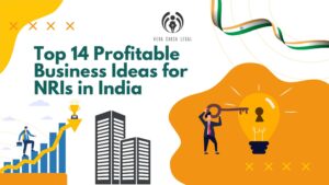 Top 14 Profitable Business Ideas for NRIs in India