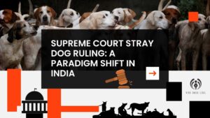 Supreme Court Stray Dog Ruling: A Paradigm Shift in India